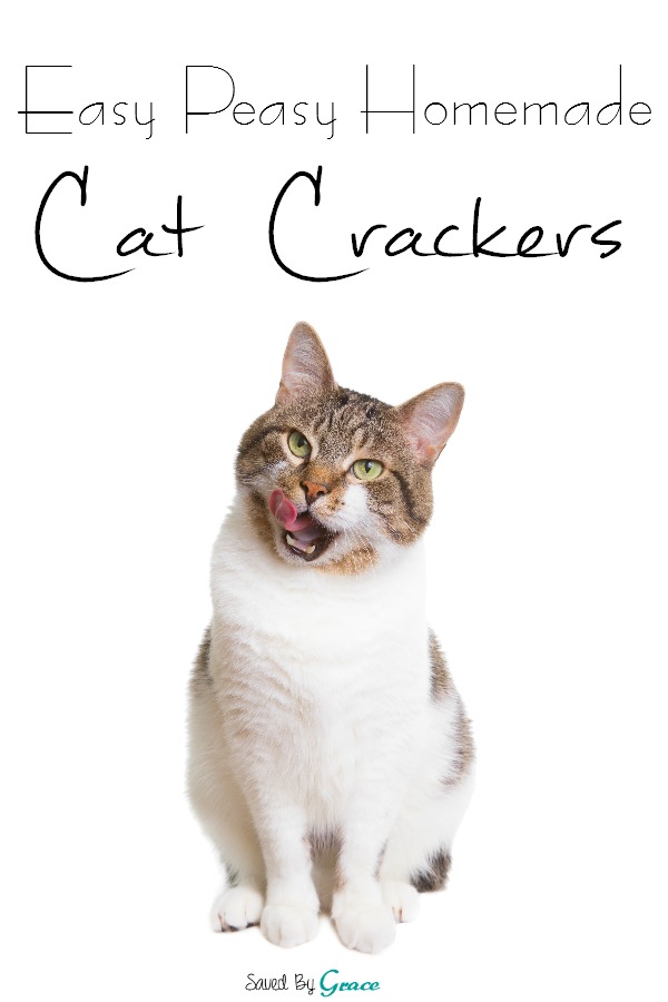 homemade cat crackers