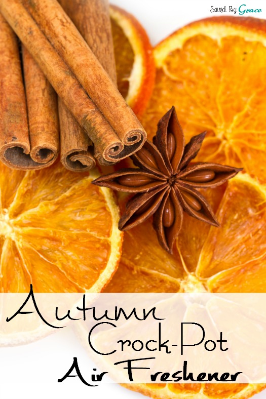 Autumn Crock Pot Air Freshener