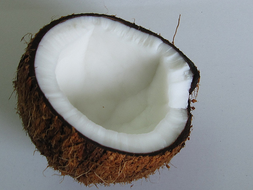 coconut