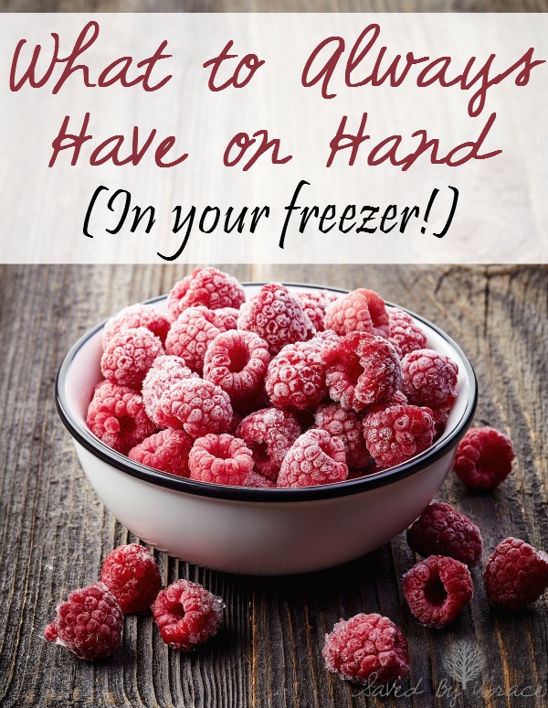 What to Always Keep in your Freezer-Tips for foods to always have on hand for quick meals and snacks and to preserve freshness and your budget!