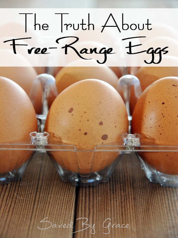 The Truth about Free-Range Eggs including facts on all egg carton labeling for consumers, misleading egg labels and where to get free-range eggs. 