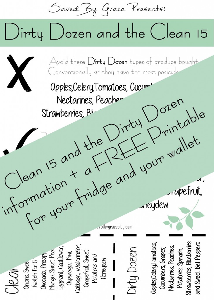 The Dirty Dozen and the Clean 15 + FREE Printable- learn what the dirty dozen and the clean 15 are and get a free printable for your fridge and wallet!