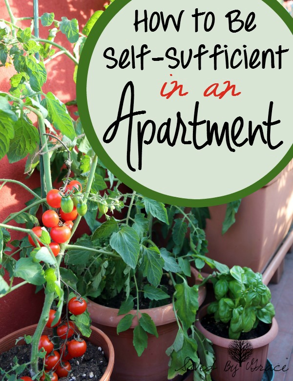 How to Be Self Sufficient in an Apartment- If your heart longs for rural areas, but you are stuck in the city, here are some simple ways to be more self sufficient in an apartment.