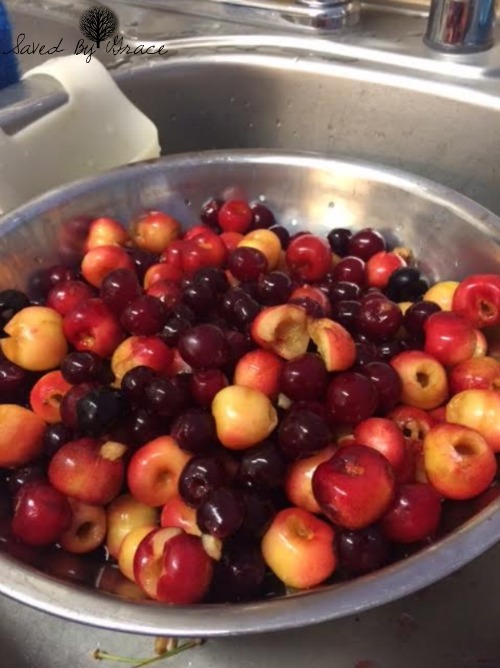 cherries in sink